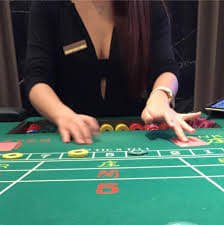 33ctree Live Casino safha
